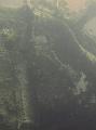 Thistlegorm (31)